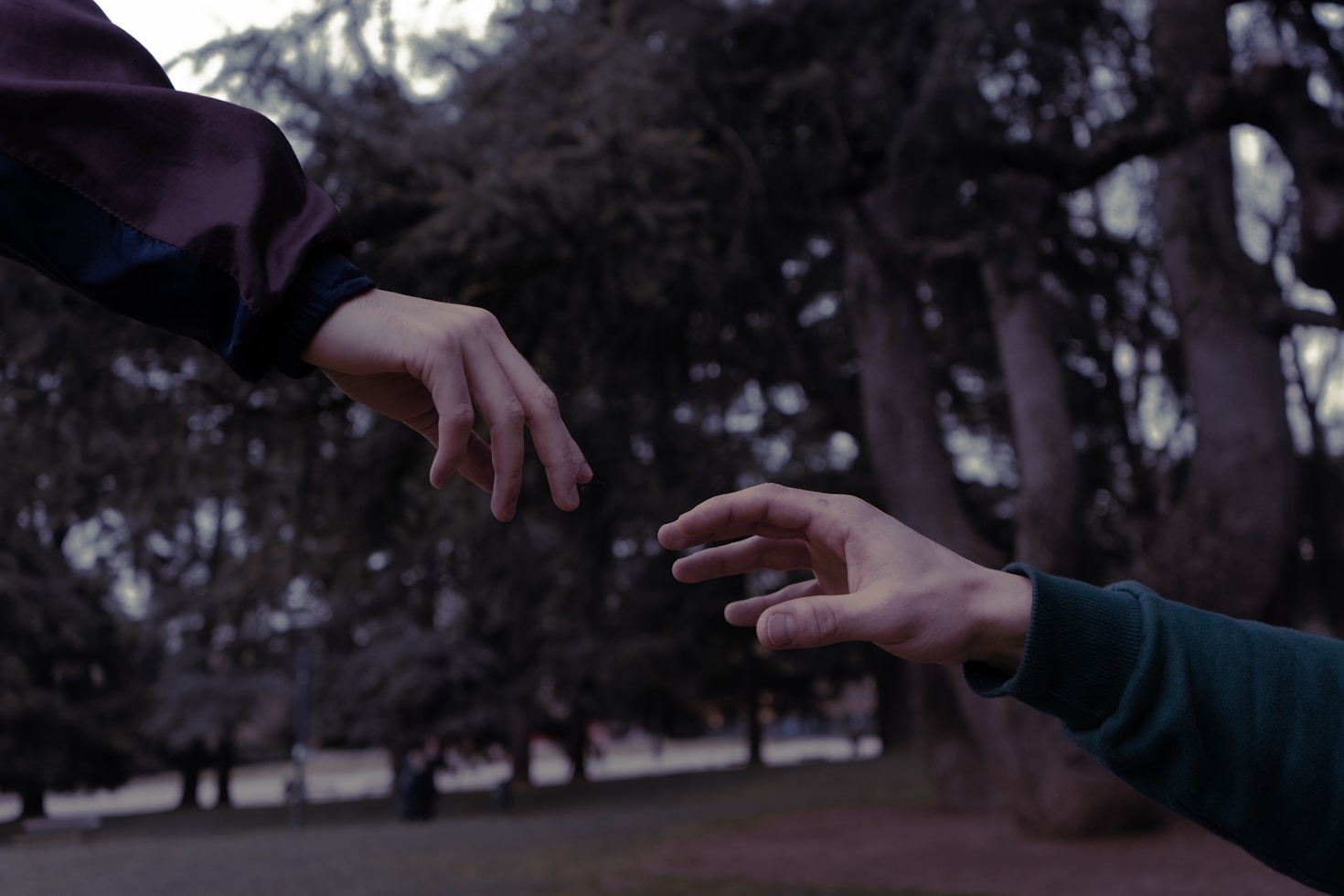 Understanding Neurodivergence in Social Reform Efforts